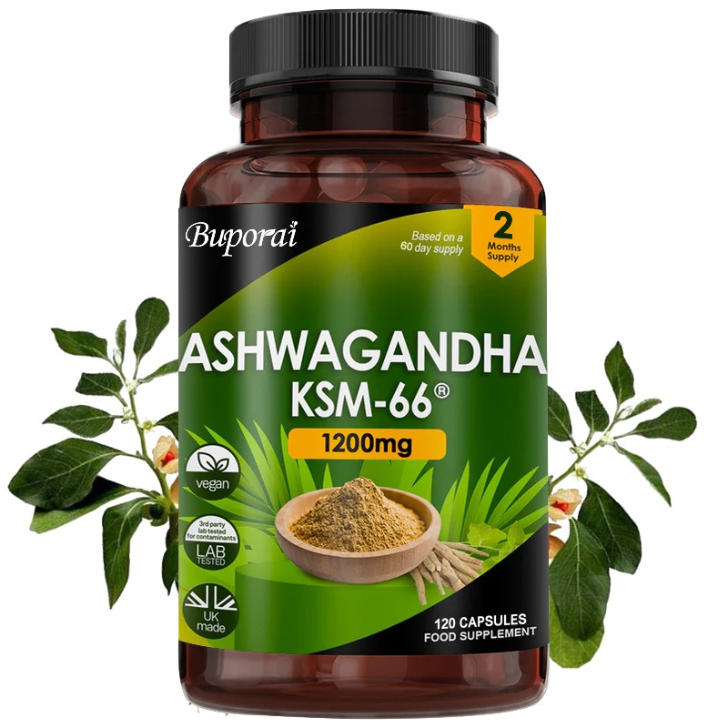 Organischer KSM-66 Ashwagandha – Ginkgo Biloba Extract Bewertung und Preis