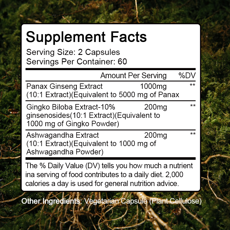 Ginseng + Ginkgo Biloba Kapsel – Ginkgo Biloba Extract Bewertung und Preis